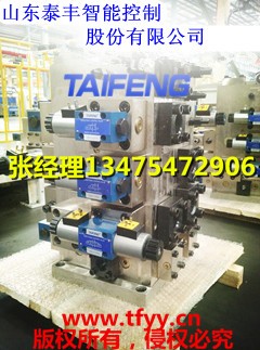 廠家供應(yīng)泰豐YN32-100FCV不帶快速缸，下腔Dg10